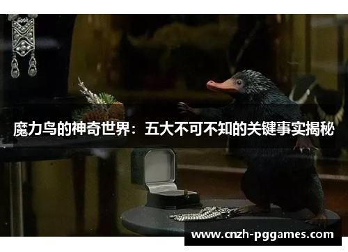 魔力鸟的神奇世界：五大不可不知的关键事实揭秘