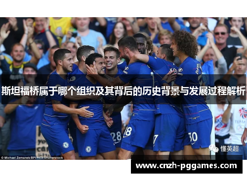 斯坦福桥属于哪个组织及其背后的历史背景与发展过程解析